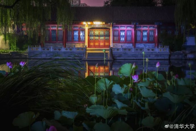 出现频率最高的是校园里特定的"景点",比如清华的荷塘月色,熙春园,厦