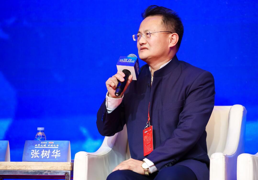 张树华西方过去30年错失绝佳历史机遇没能吸取教训