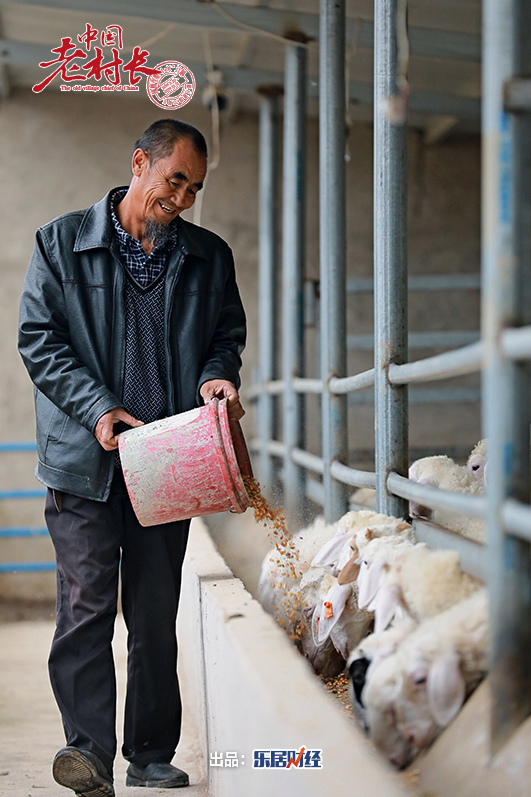 家国同梦礼献新中国70周年#他,从祖辈手中接过赶羊鞭,脱贫不忘家乡