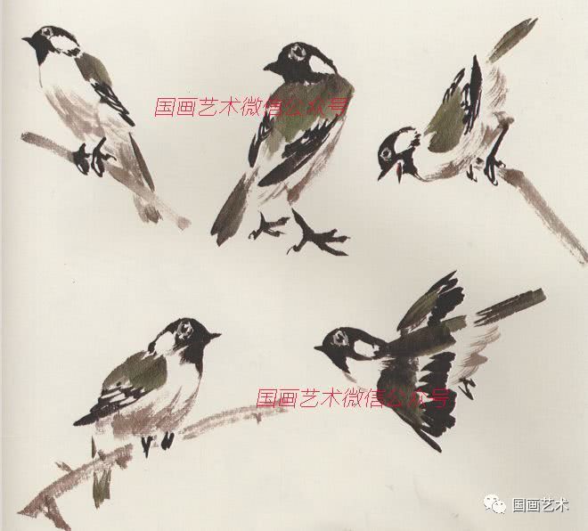 图文教程:白脸山雀写意画法汇集