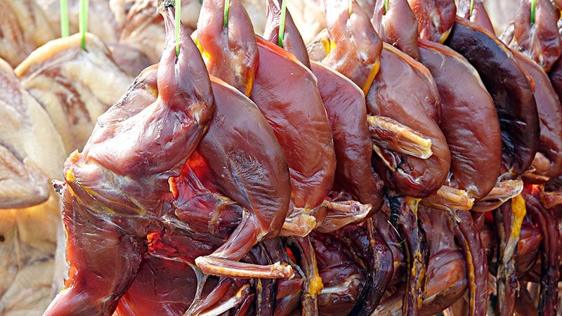 如果只有这十种食物,只能选一种,你怎么选,网友:我宁愿饿死