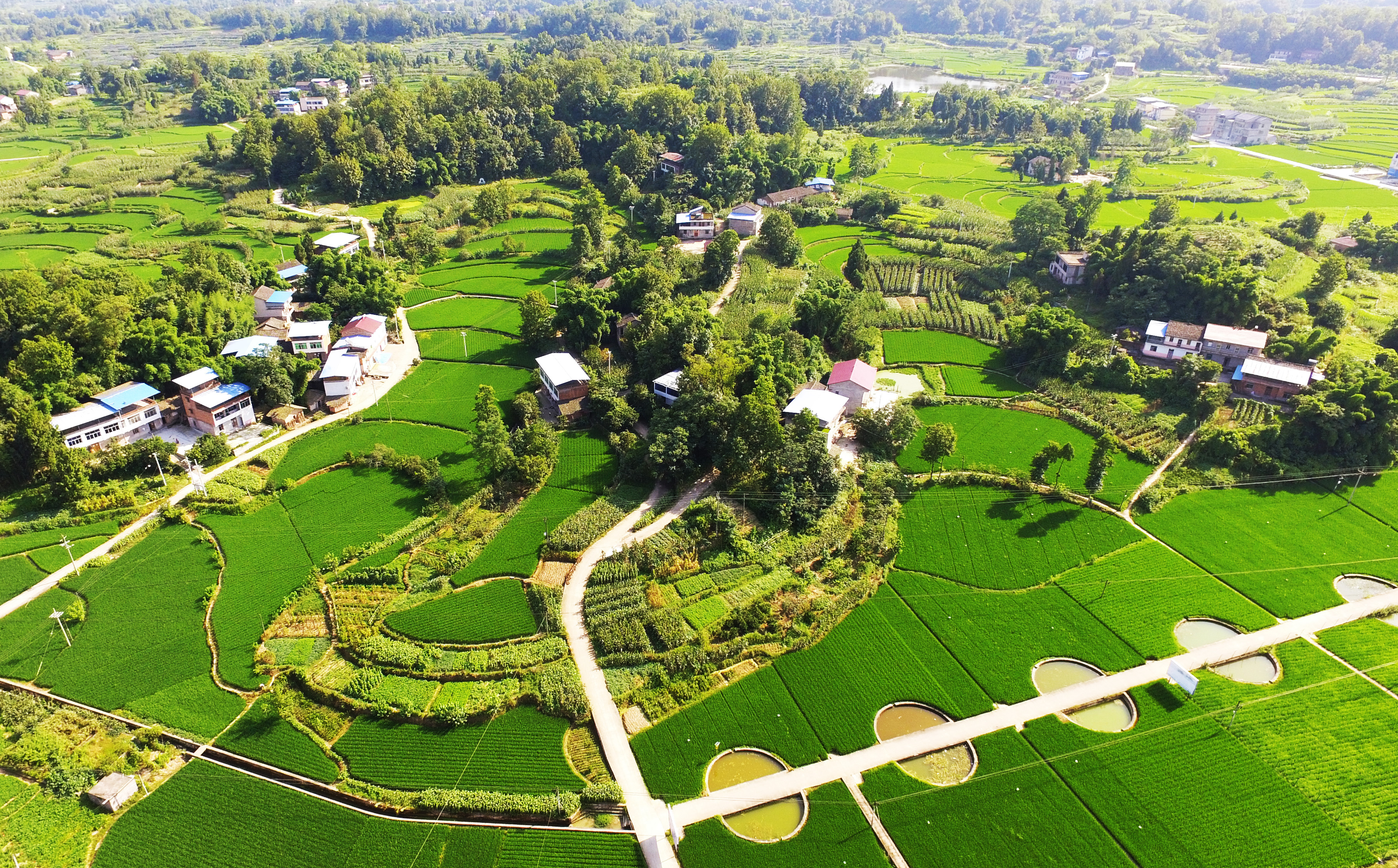 农业科技进步贡献率达58.3%,十八大以来农村累计减贫8000多万人