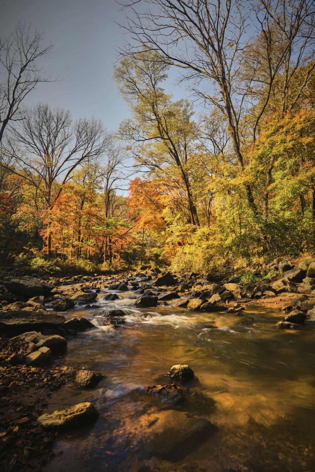 吉林桦甸:最美"枫"情