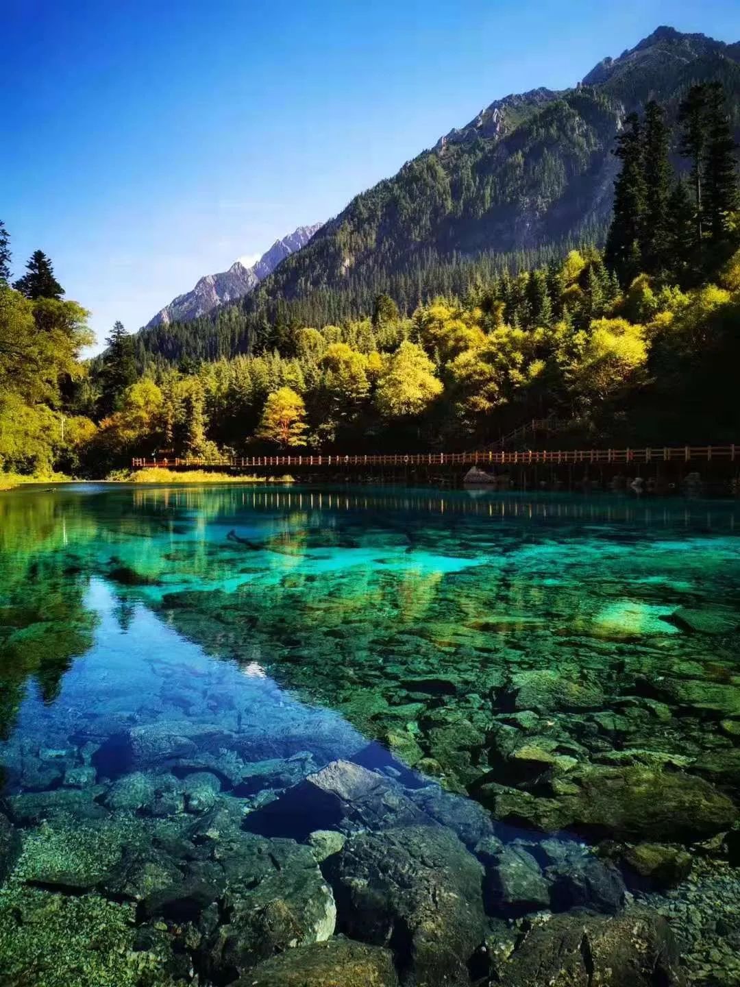 九寨沟2020日历新鲜出炉:美了时光 醉了四季