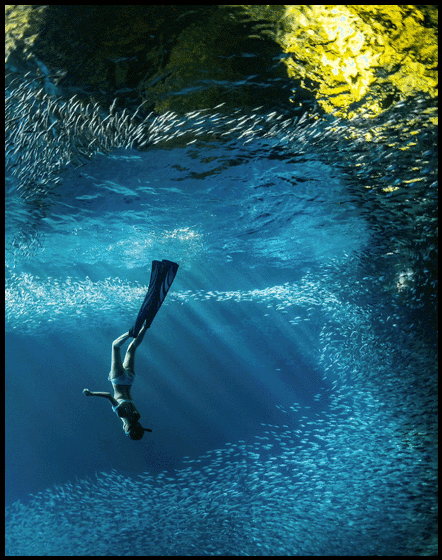 这几年来成为了年轻人的热门运动项目朋友圈时不时刷屏的海岛潜水照