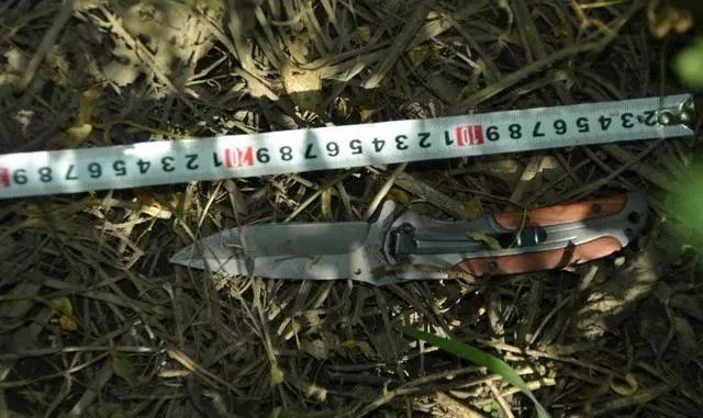 认识不久同居,提分手酿血案,女子被捅15刀,男友:挽回不了就杀