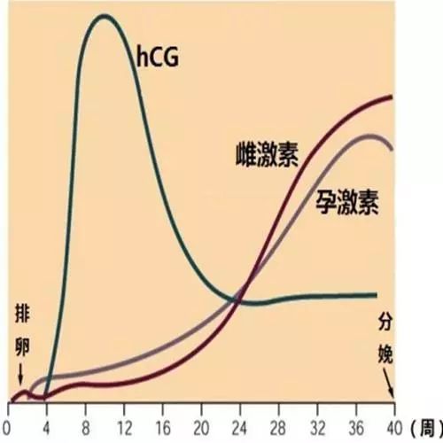 HCG值不翻倍是宫外孕吗？__凤凰网