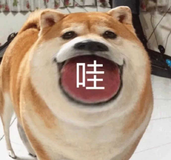 憨憨狗子表情包__凤凰网