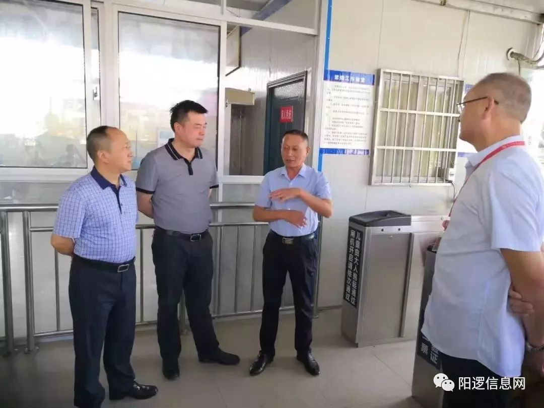 区领导新洲阳逻检查交通运输工作