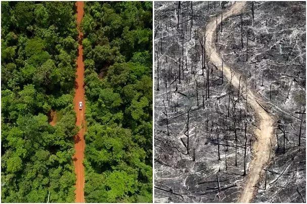 最大的热带雨林亚马逊在燃烧,人类抵抗气候变暖的最后屏障