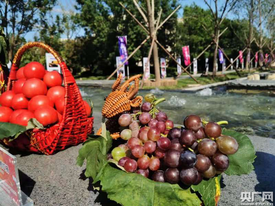 第十九届大兴采育葡萄旅游文化节开幕
