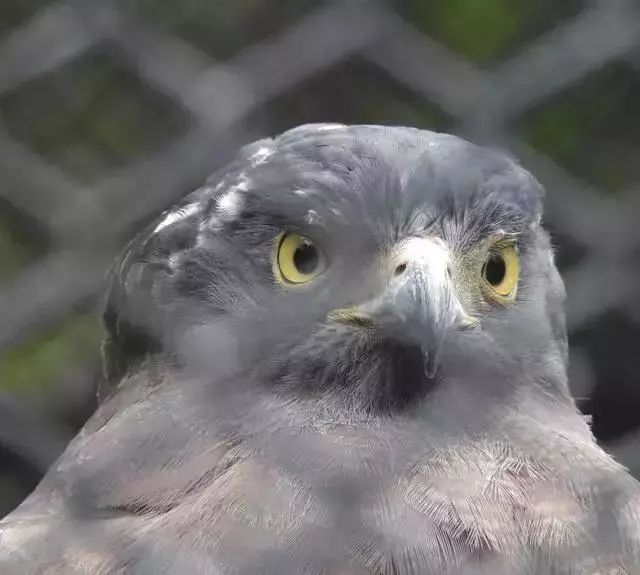 《西游记》中的"最强妖怪",ta的原型到底是谁?