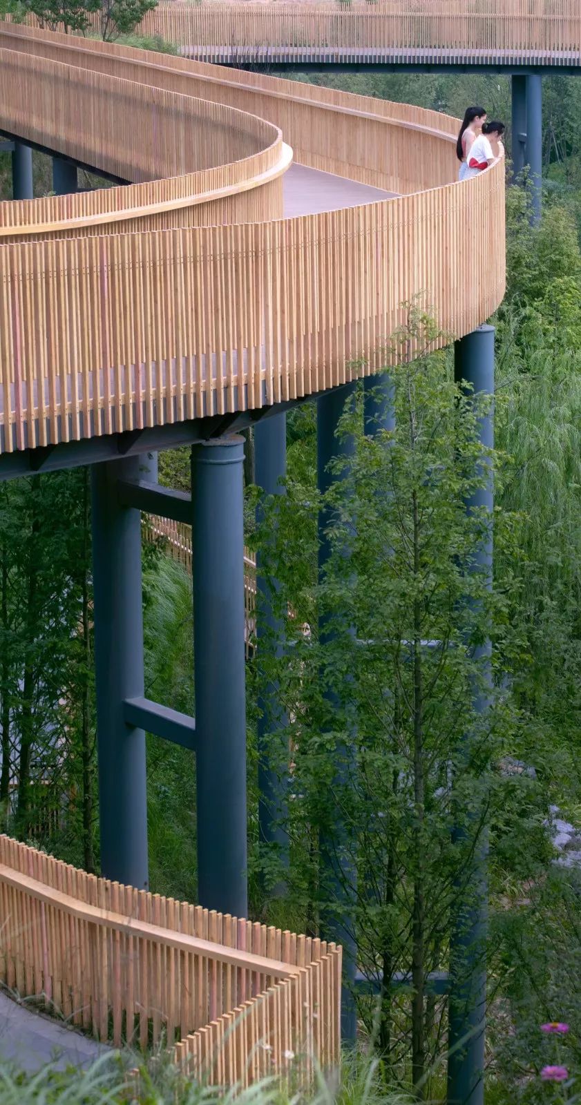 招商宜昌·依云水岸景观设计 | 2019杰出设计奖