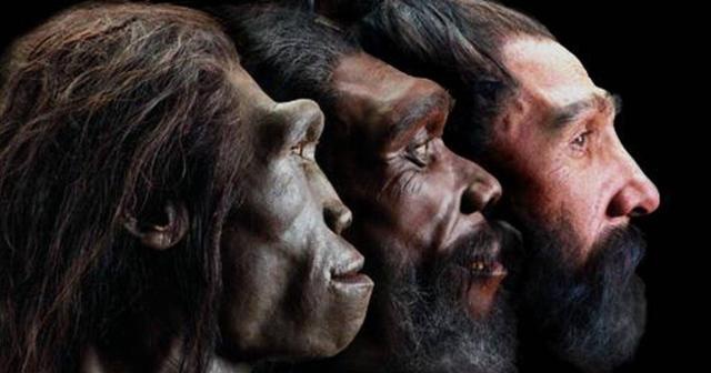 人类已经开始退化被淘汰的骨头重现科学家给出两种解释