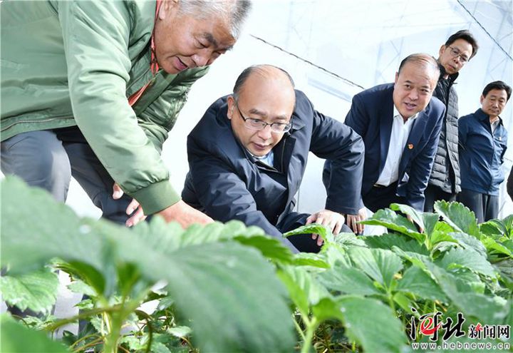 基地选址在尚义县中南部坝下山区红土梁镇