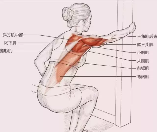 四套肩颈拉伸动作,灵活肩颈预防肩周炎,随时随地可以练