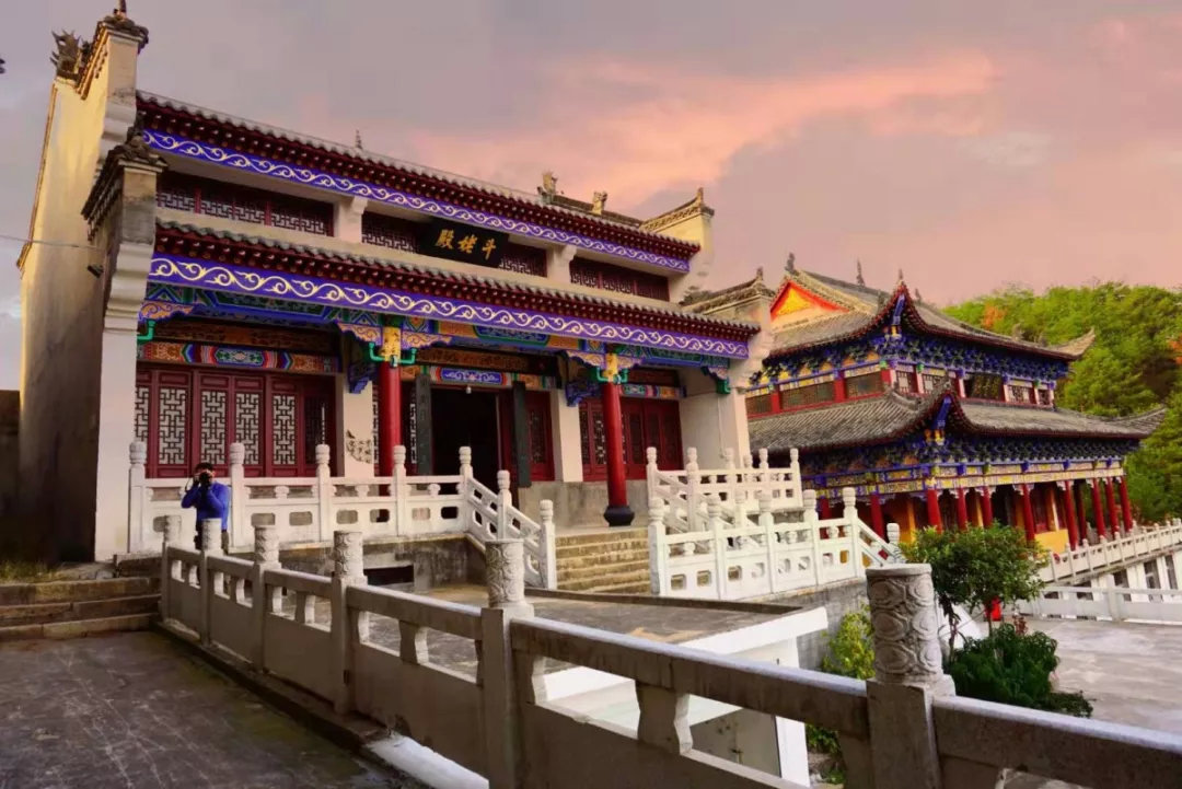 秋天除了赏红叶,还可以去麻城五脑山观菊展!