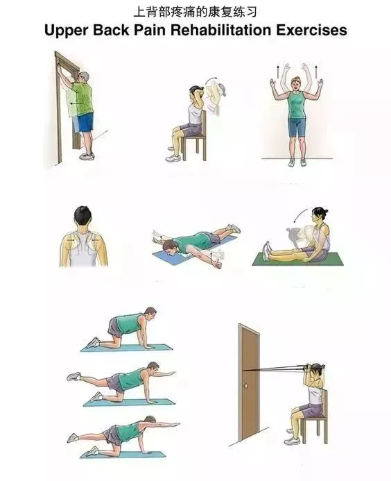 注意每个动作保持20-30秒. 重复练习8