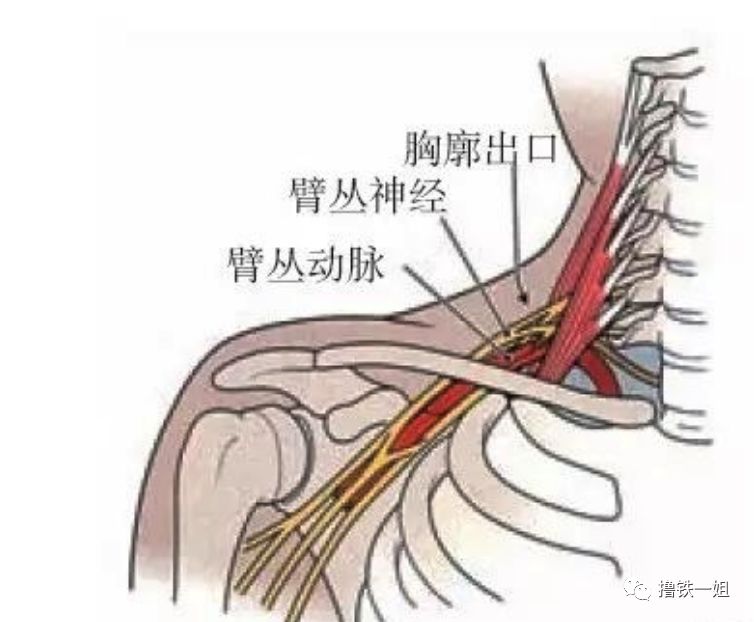 郭碧婷向佐婚纱照屠屏向佐被p成刘梓晨郭碧婷圆肩含胸头还大