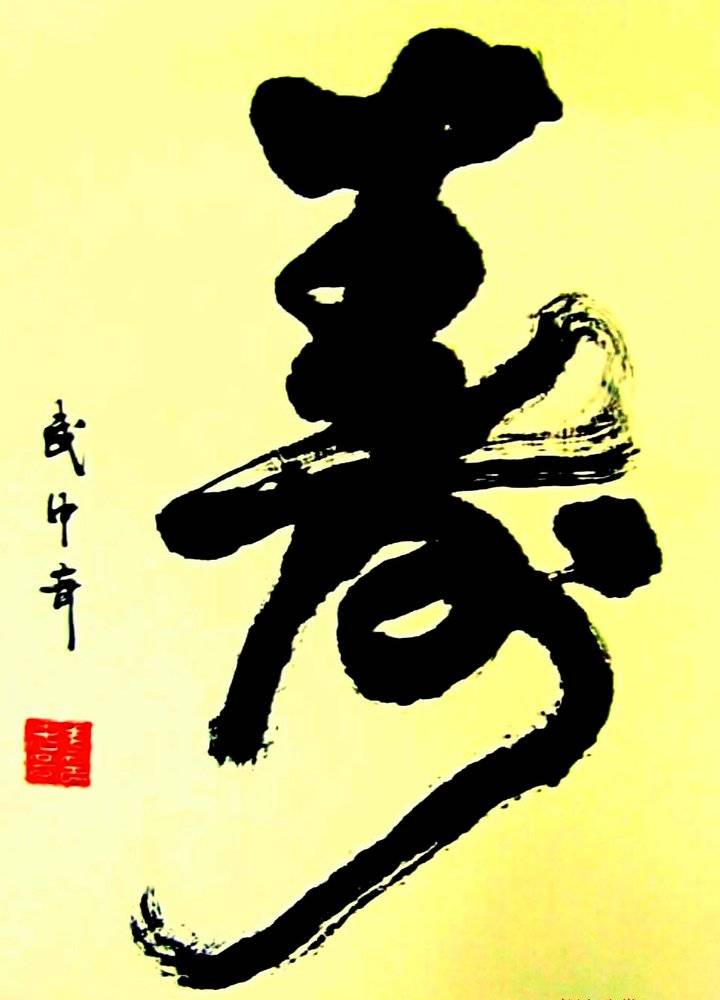 中国寿字书法第一人图片