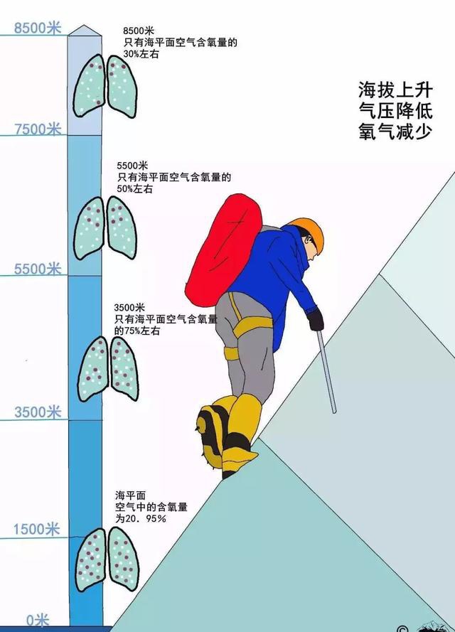 西藏自驾须先知道-高反会死人