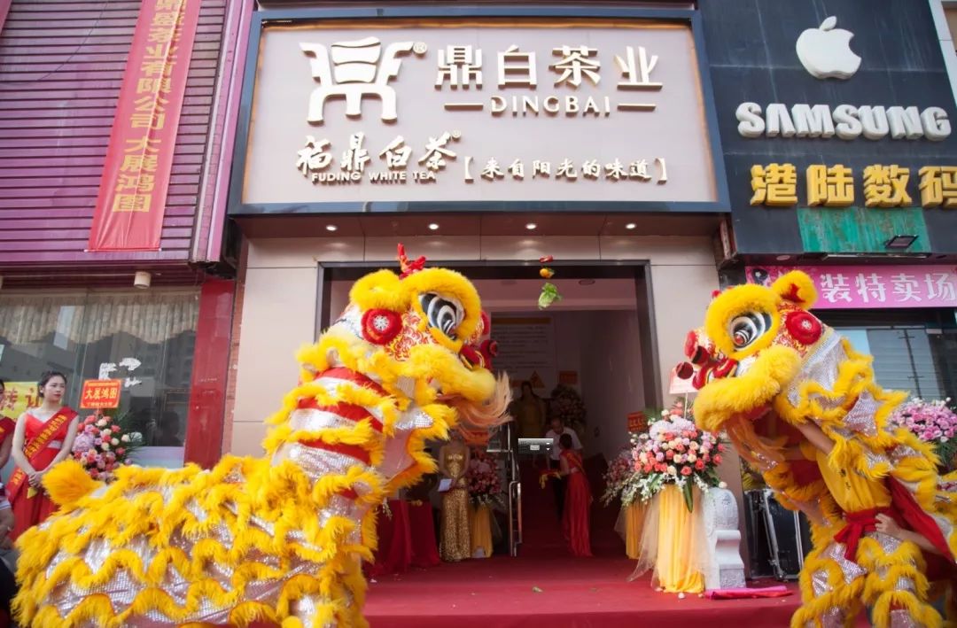 开业大吉|热烈祝贺鼎白茶业深圳宝安区专营店隆重开业__凤凰网