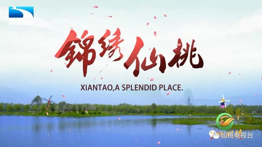 仙桃市网站线上推广效果 凤凰网