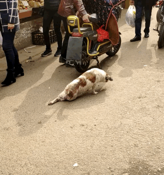 338_361gif 动态图 动图