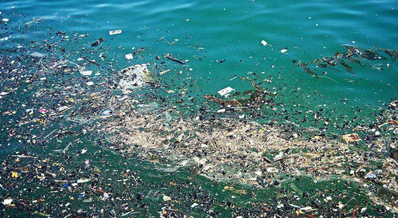 食入微塑料对人体有多大影响看看专家怎么说