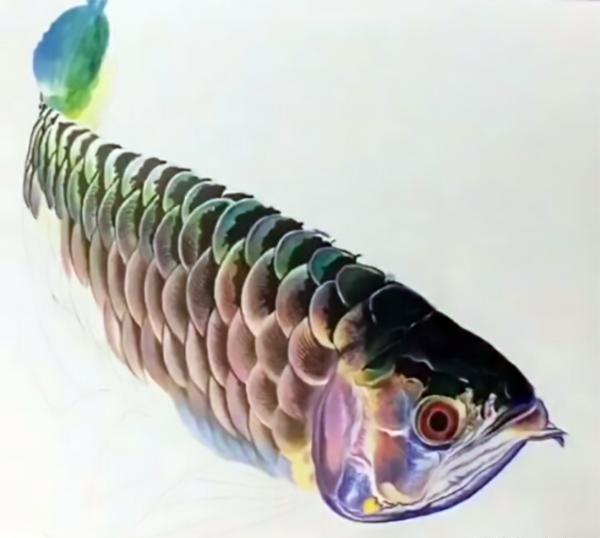 小伙画了条鱼参展,水平堪比冷军,评委怒斥:这根本不是画