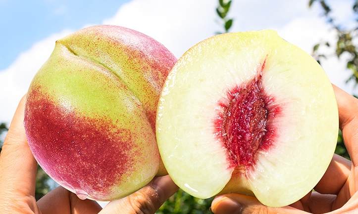 青州蜜桃个头饱满满嘴溢汁香甜爽口情如初恋