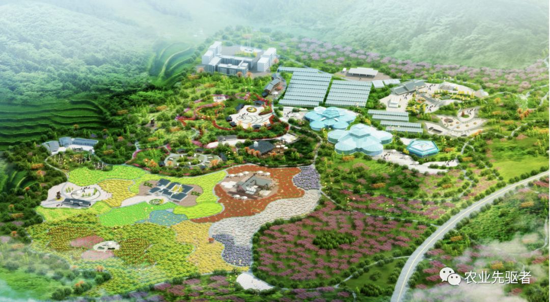 打造田园综合体是"血亏"还是"暴富"?未来出路如何?