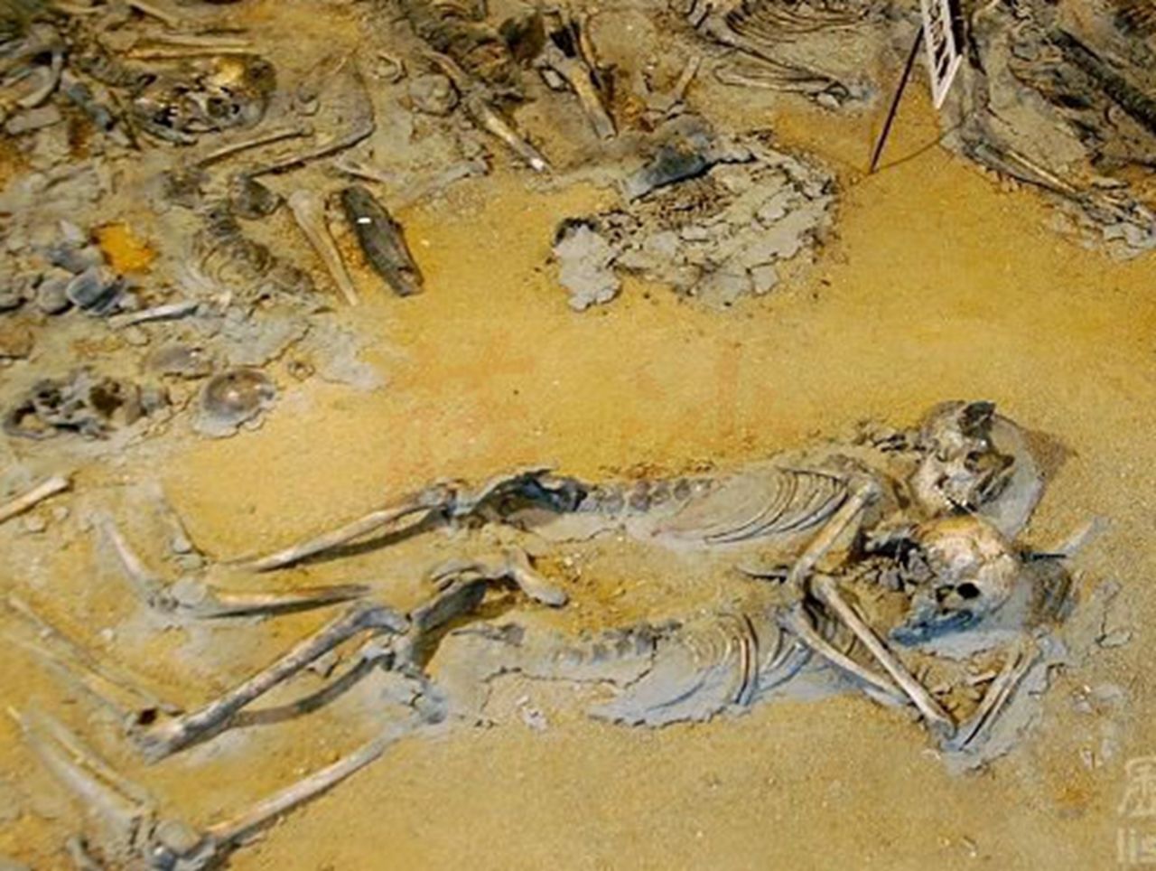 9月16日平顶山惨案3000人被杀:1932年屠杀后真凶7人枪毙1人自杀