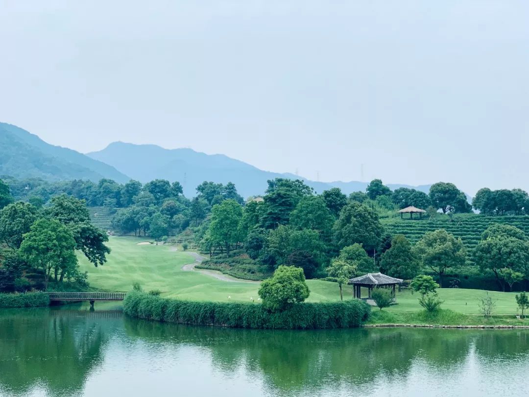 树屋别墅夏日萤火虫无边泳池躲进江浙沪的竹海里避个暑