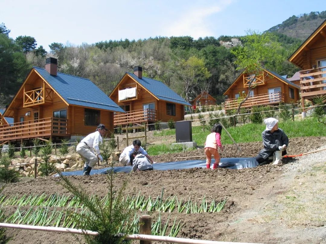 日本绿色旅游对我国乡村旅游发展有何启示?