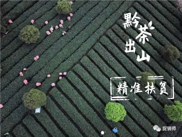 曝光| 贵州黔中生态茶交易中心披着合法外衣,实则涉嫌集资诈骗