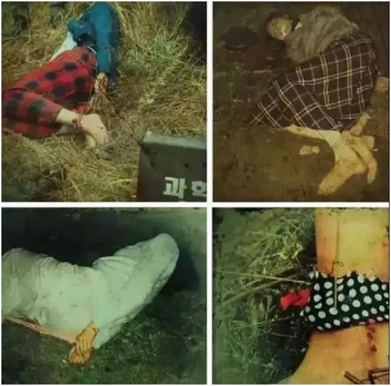 《杀人回忆》真凶33年后落网:恶魔就在人群中,你却无法看见__凤凰网