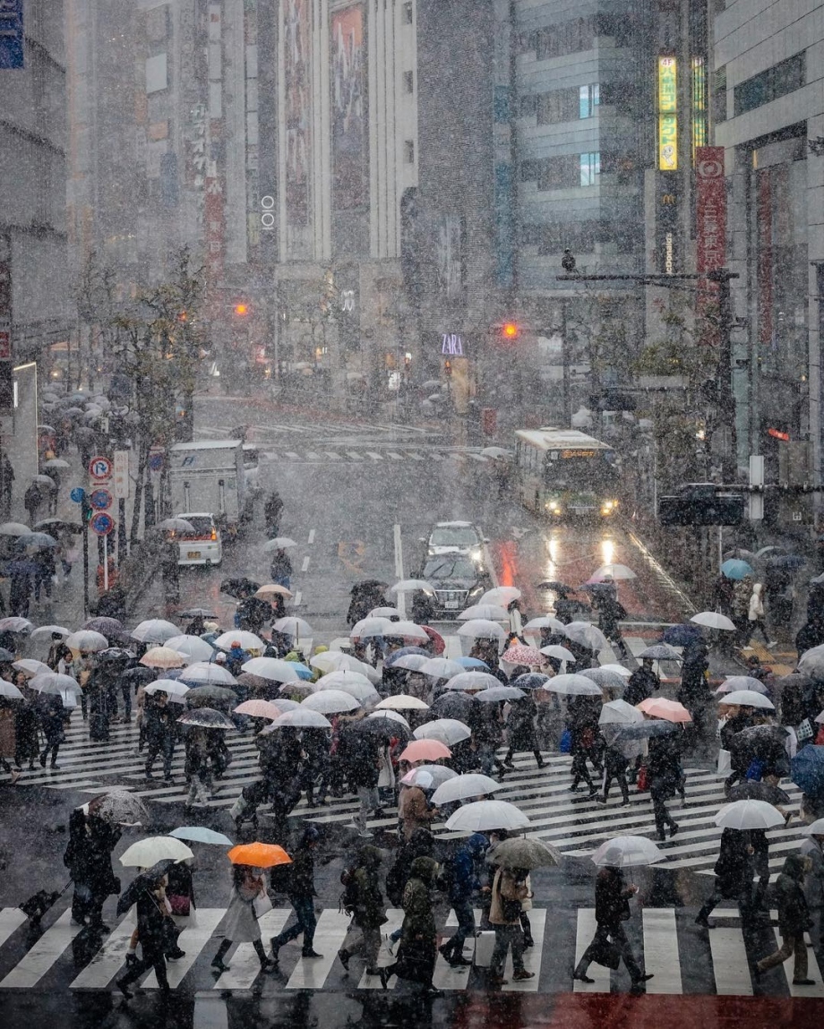 鹅毛大雪与灿烂霓虹雪中的东京魔幻都市