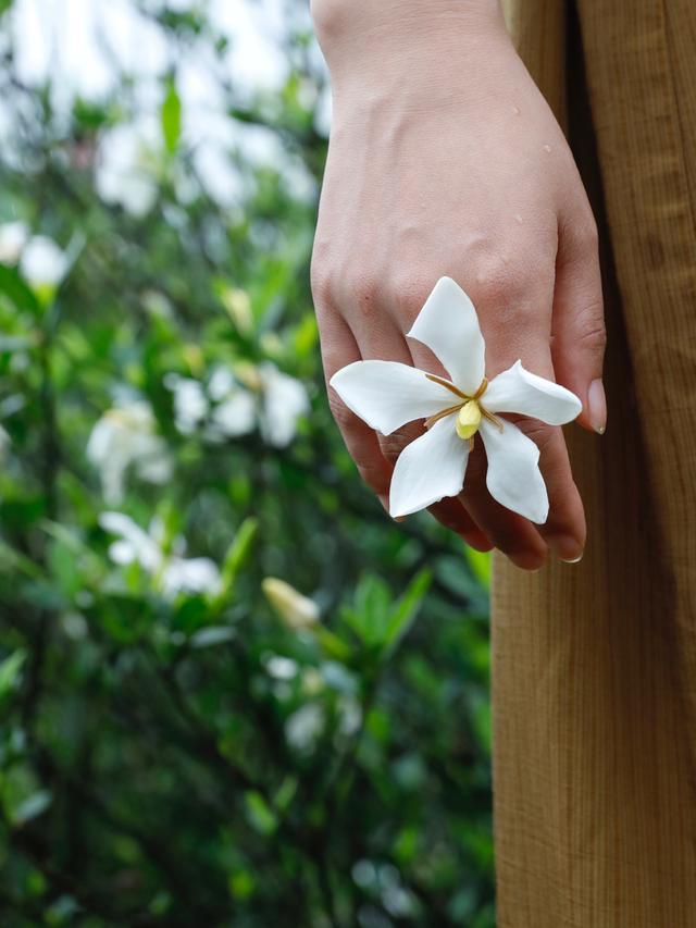 栀子花女孩唯美图片图片