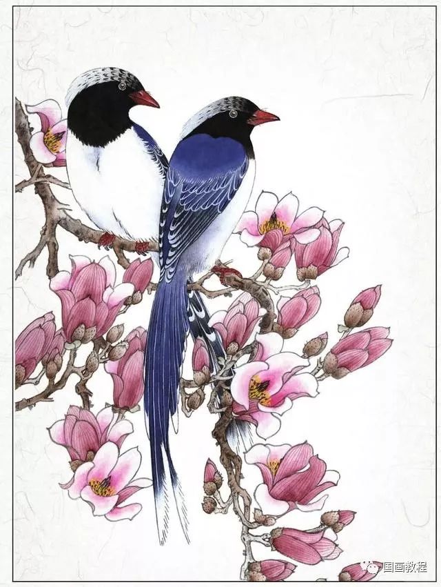 书画鉴赏丨红嘴蓝鹊工笔画法