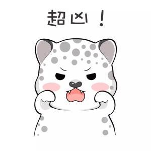 世界雪豹日让我们一起换上超萌雪豹头像