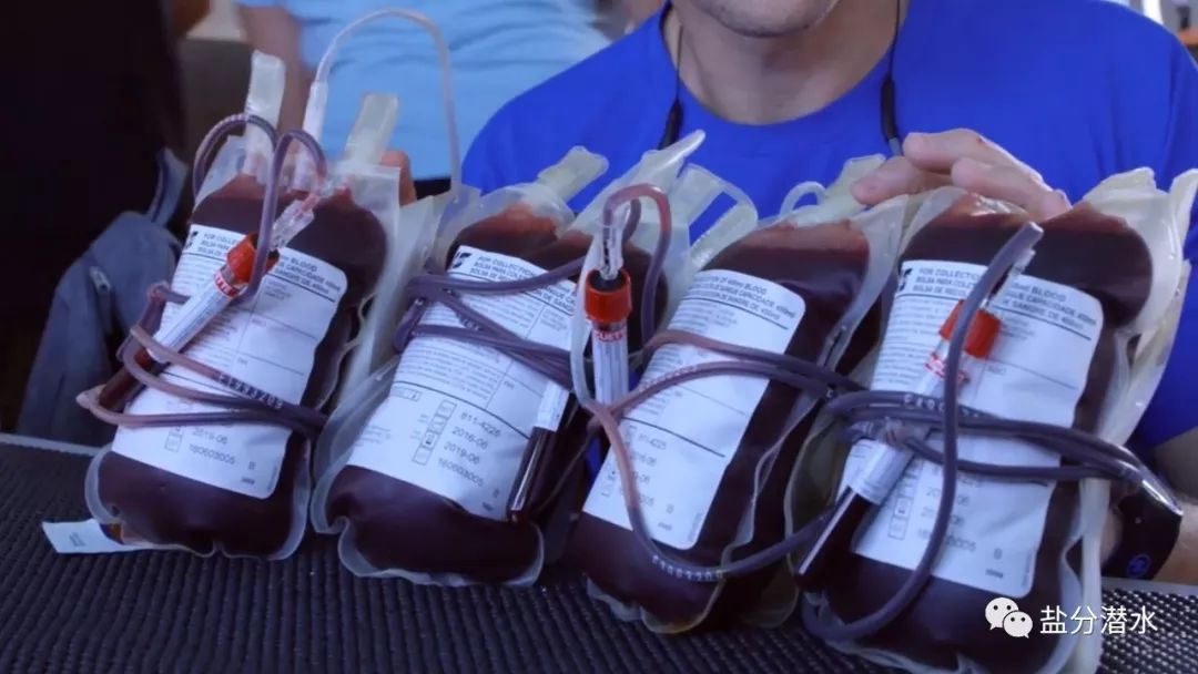 现场抽血实验鲨鱼到底对人血感不感兴趣,没想到结果