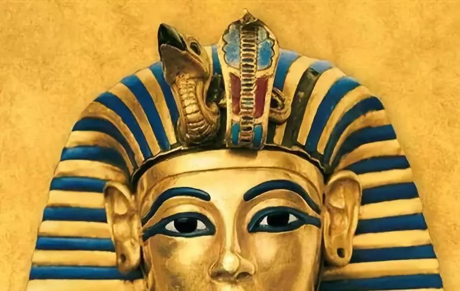 说的就是它法老的诅咒