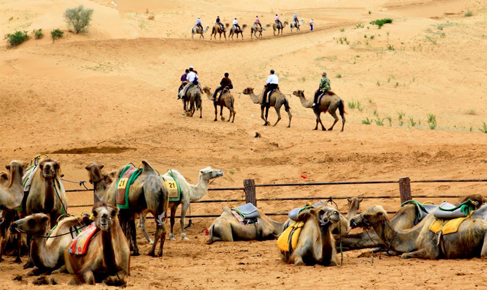 驼道通向世界 汽车跑遍草原 内蒙古在清朝中期就已四通八达