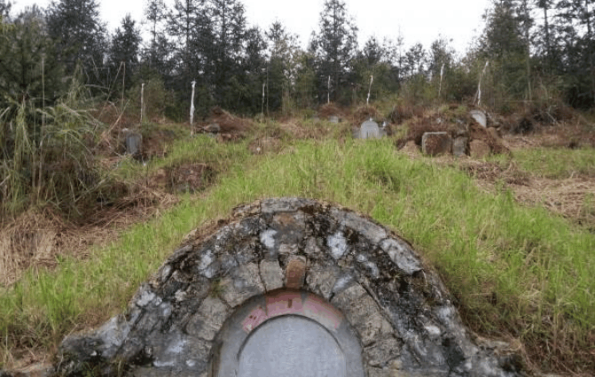 "死去"二十年的女儿, 突然成为她的儿媳, 她跑到丈夫坟前讨说法