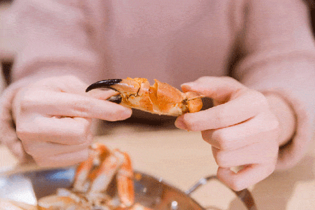 烹饪膏黄肉甜的面包蟹就得这么吃