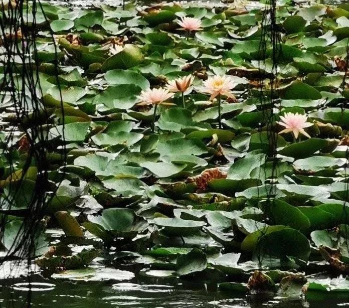 四海公園裡著名的藝術雕塑 就是這座立在公園中心的 