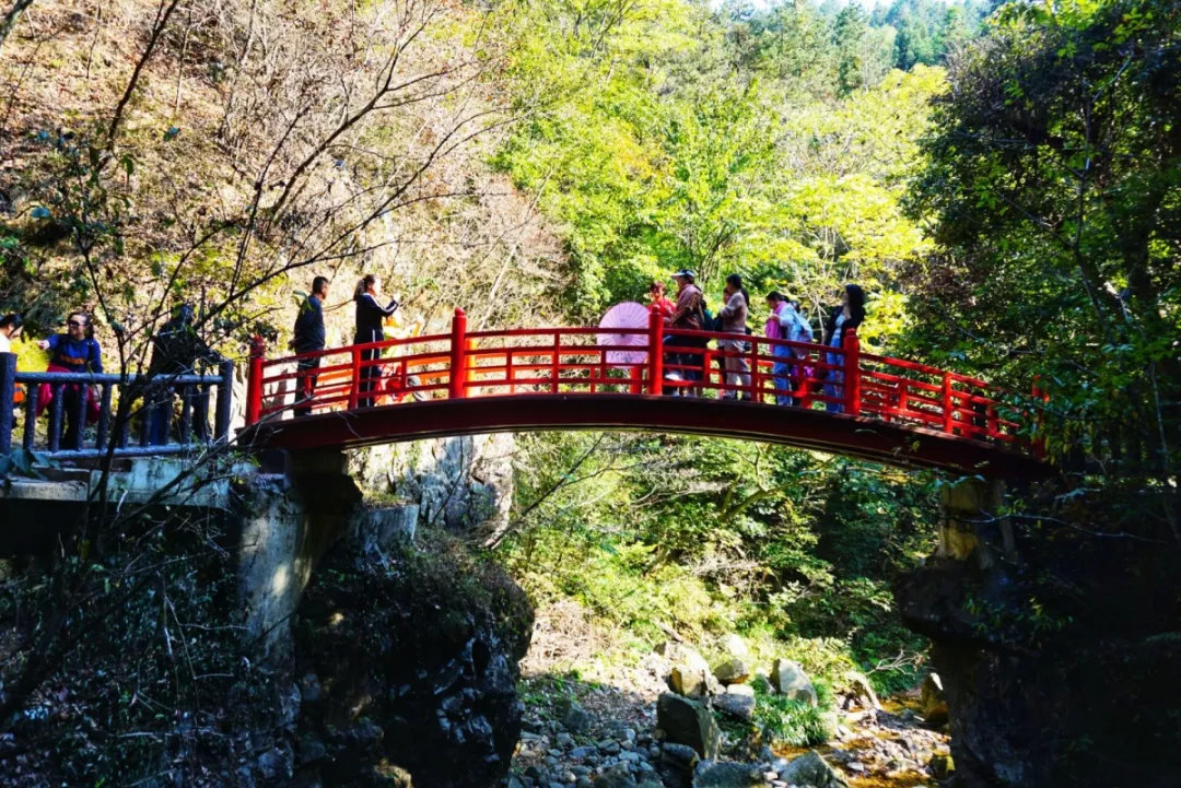 賞金秋紅葉玩叢林野趣英山桃花衝風景區等你來