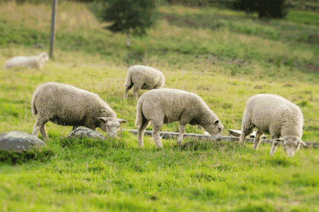 640_426gif 动态图 动图