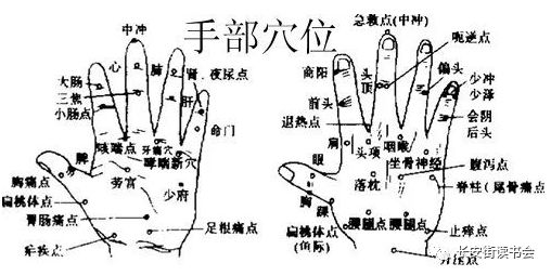 這些穴點直接連接到體內的不同器官,這表示能藉由刺激這些穴點來減輕